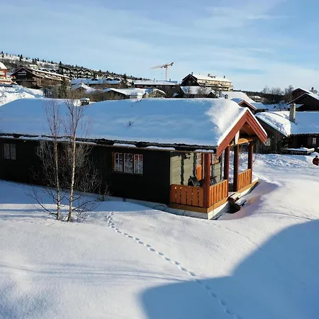 Tatil Evi Nostalgic With 3 Bedroom Fireplace, And Terrace