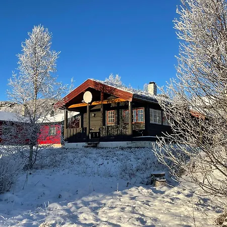 Сasa de vacaciones Nostalgic With 3 Bedroom Fireplace, And Terrace Beitostolen