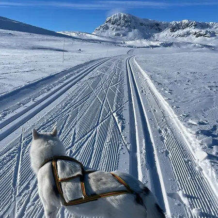 Nostalgic With 3 Bedroom Fireplace, And Terrace *