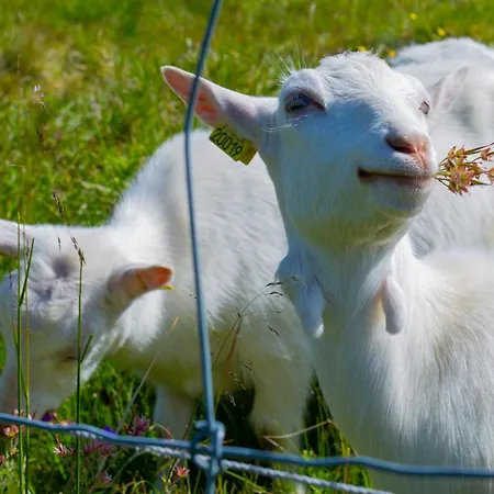 Nostalgic With 3 Bedroom Fireplace, And Terrace Beitostolen